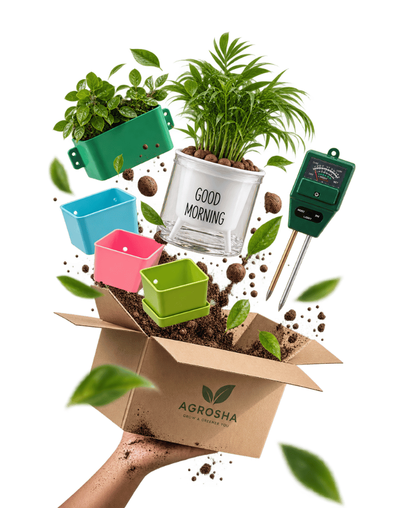 Gardening starter kit